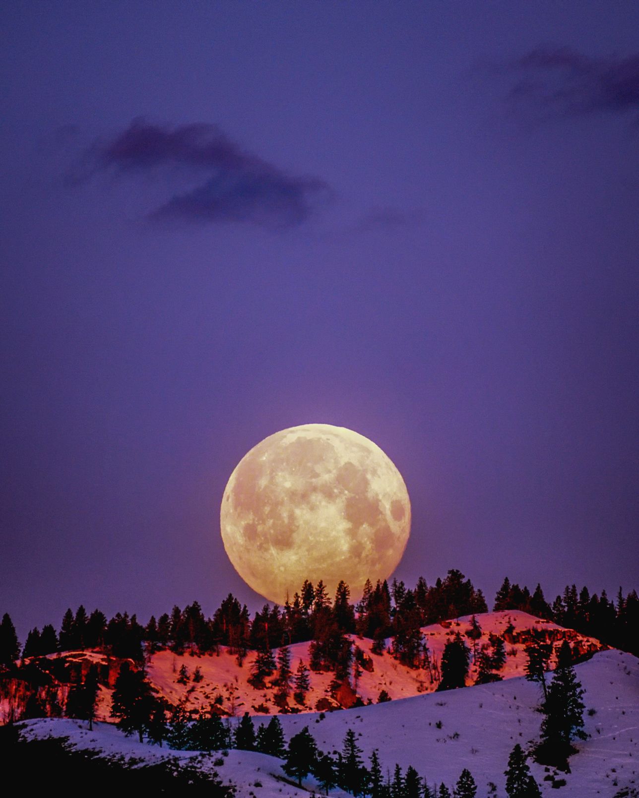 CHAMBER Frank Cone evening-full-moon-light-2361600.jpg
